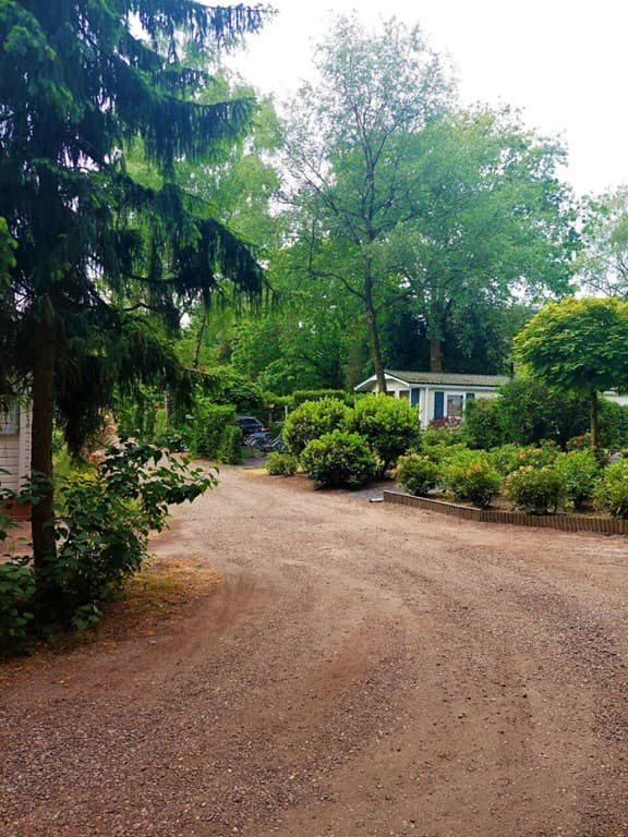 TopParken - Bospark Ede foto 21
