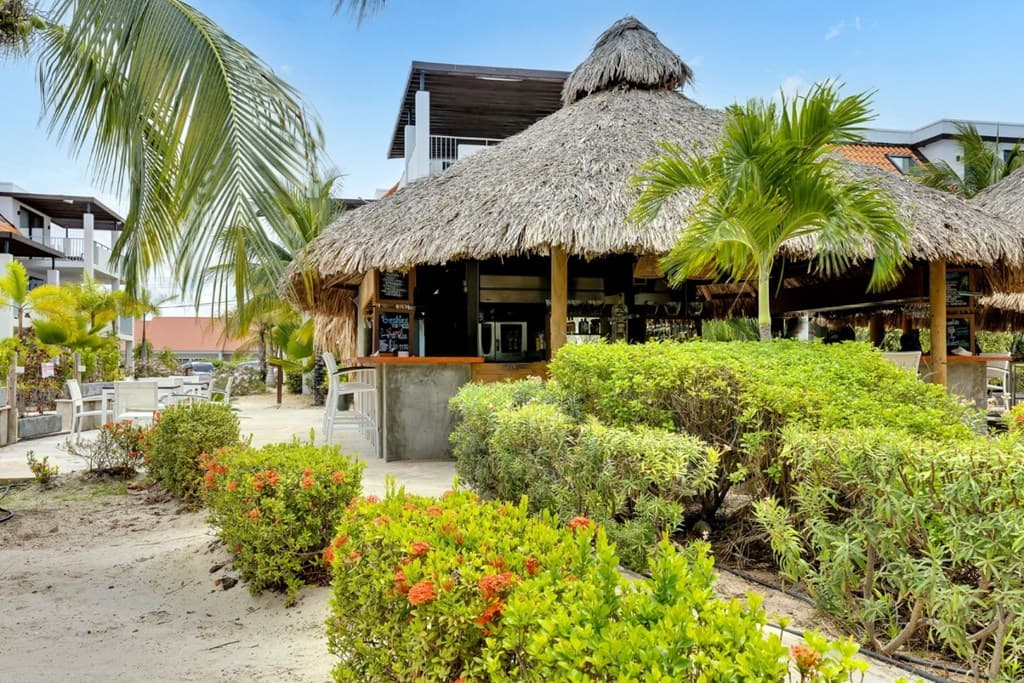 Delfins Beach Resort Bonaire, Tapestry Collection by Hilton foto 19