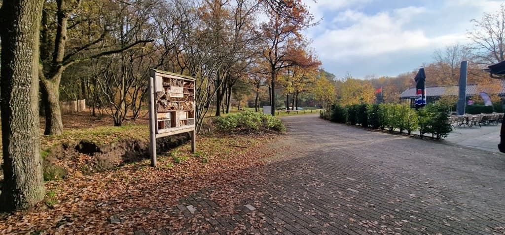 EuroParcs Ruinen foto 8