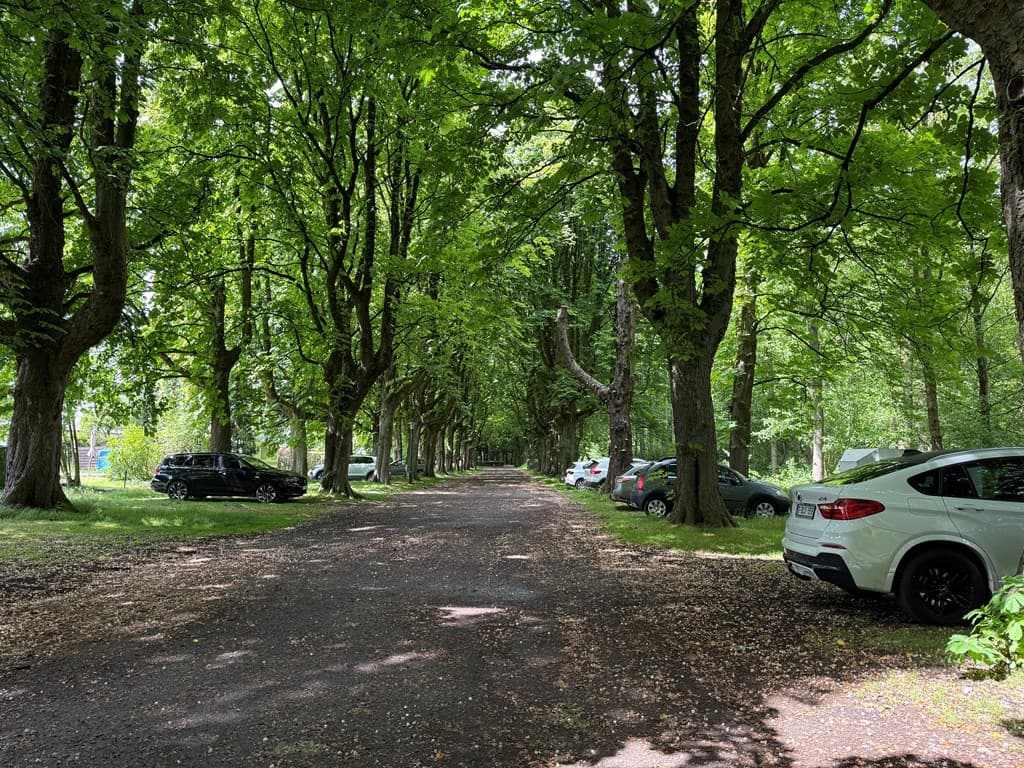 De Groene Linden BV foto 23