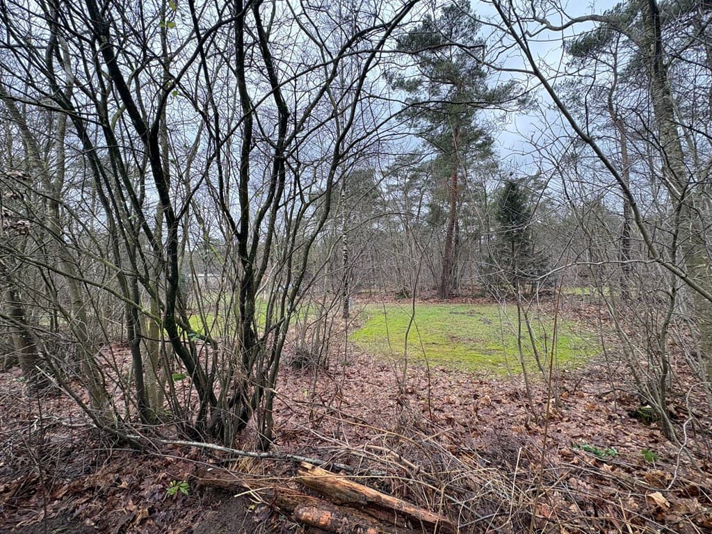 EuroParcs Ruinen foto 23