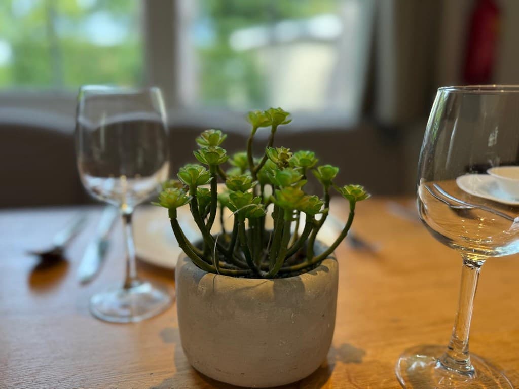 EuroParcs De Zanding foto 9