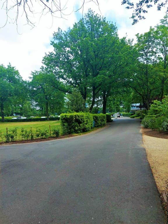 TopParken - Bospark Ede foto 24