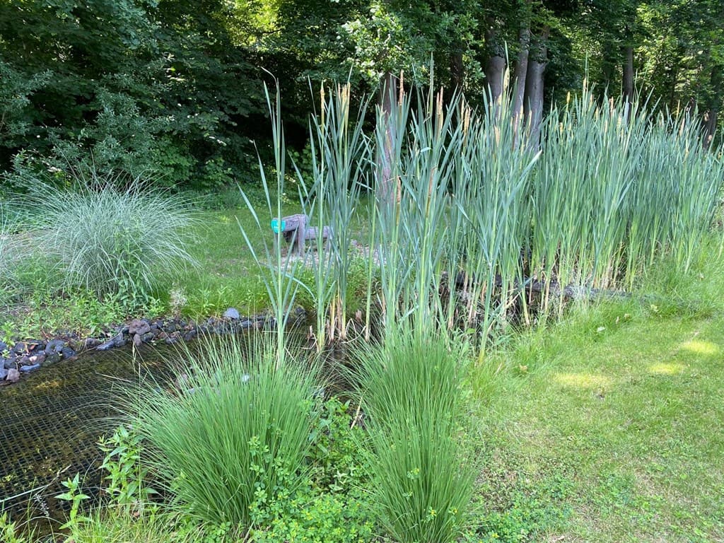 Vakantiepark Het Lierderholt foto 6