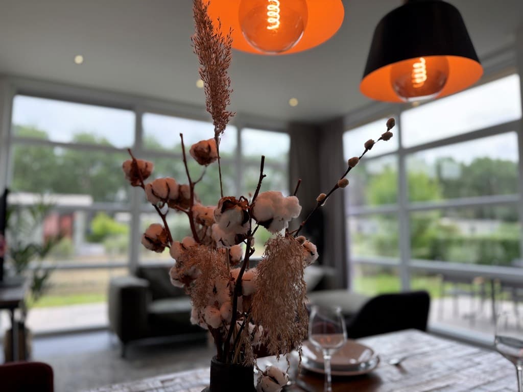EuroParcs Buitenhuizen foto 12