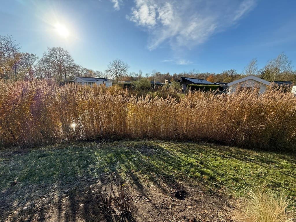 EuroParcs Zuiderzee foto 9