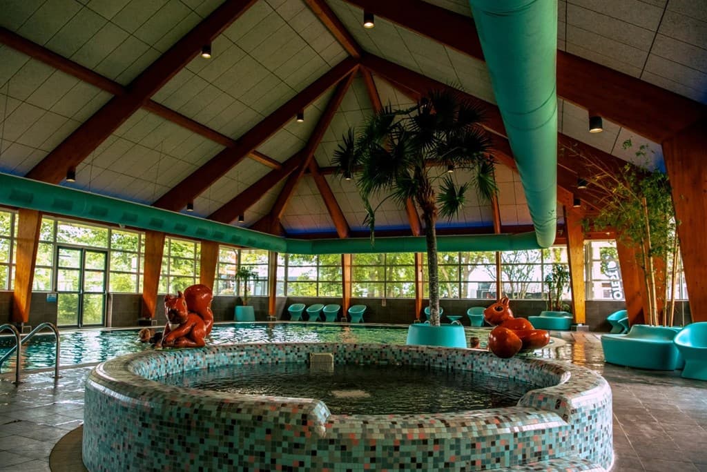 EuroParcs Bad Hoophuizen foto 25